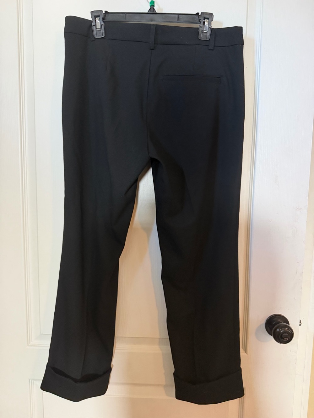 NWT Free People Cuffed Dress Pants/Trousers Size 10